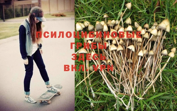 героин Липки